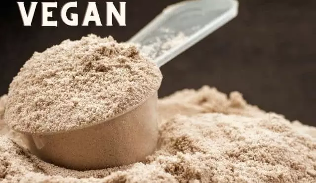 Vegan Protein Tozu Fiyatları ve Modelleri