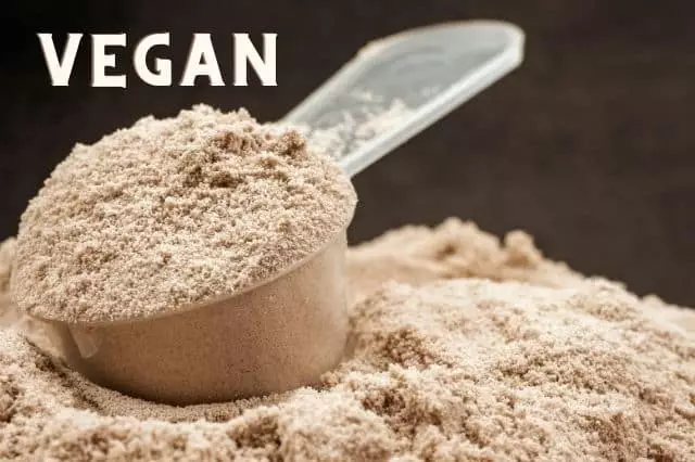 Vegan Protein Tozu Fiyatları ve Modelleri