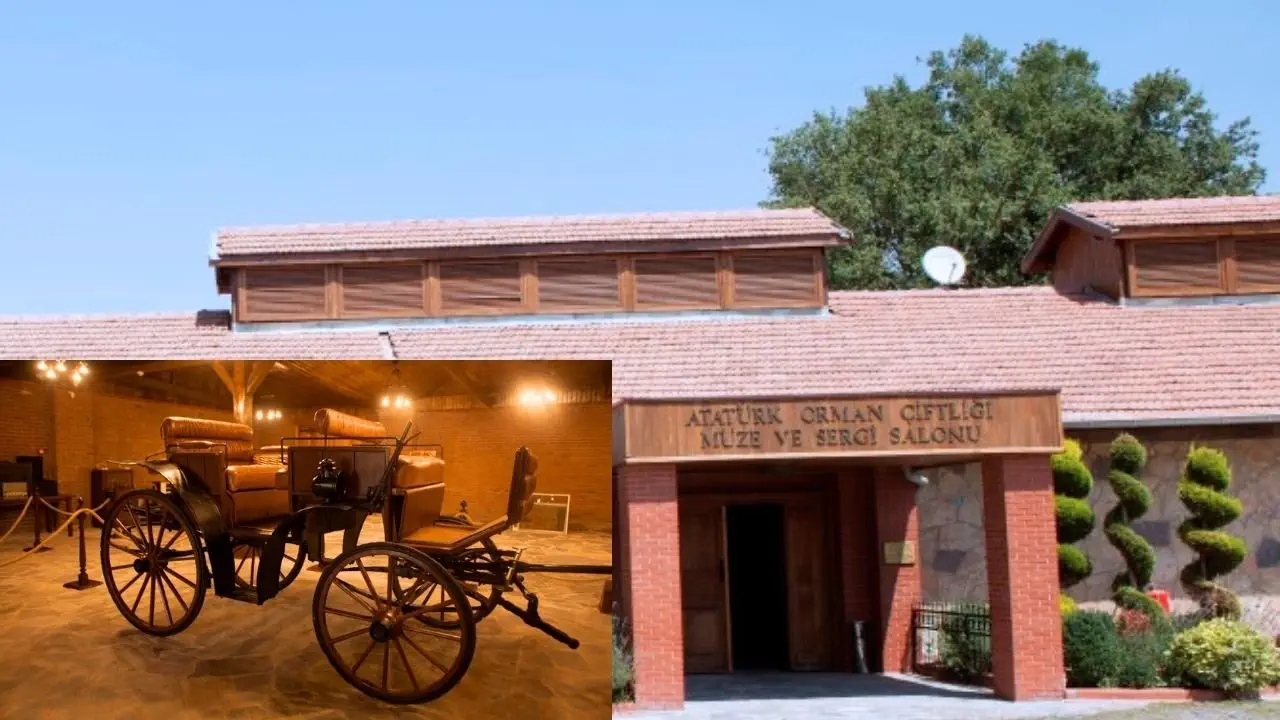 Atatürk Orman Çiftliği Hakkında Bilgiler 3 Atatürk Orman Çiftliği