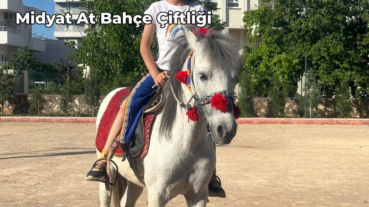 mardin-midyat-gezilecek-yerler