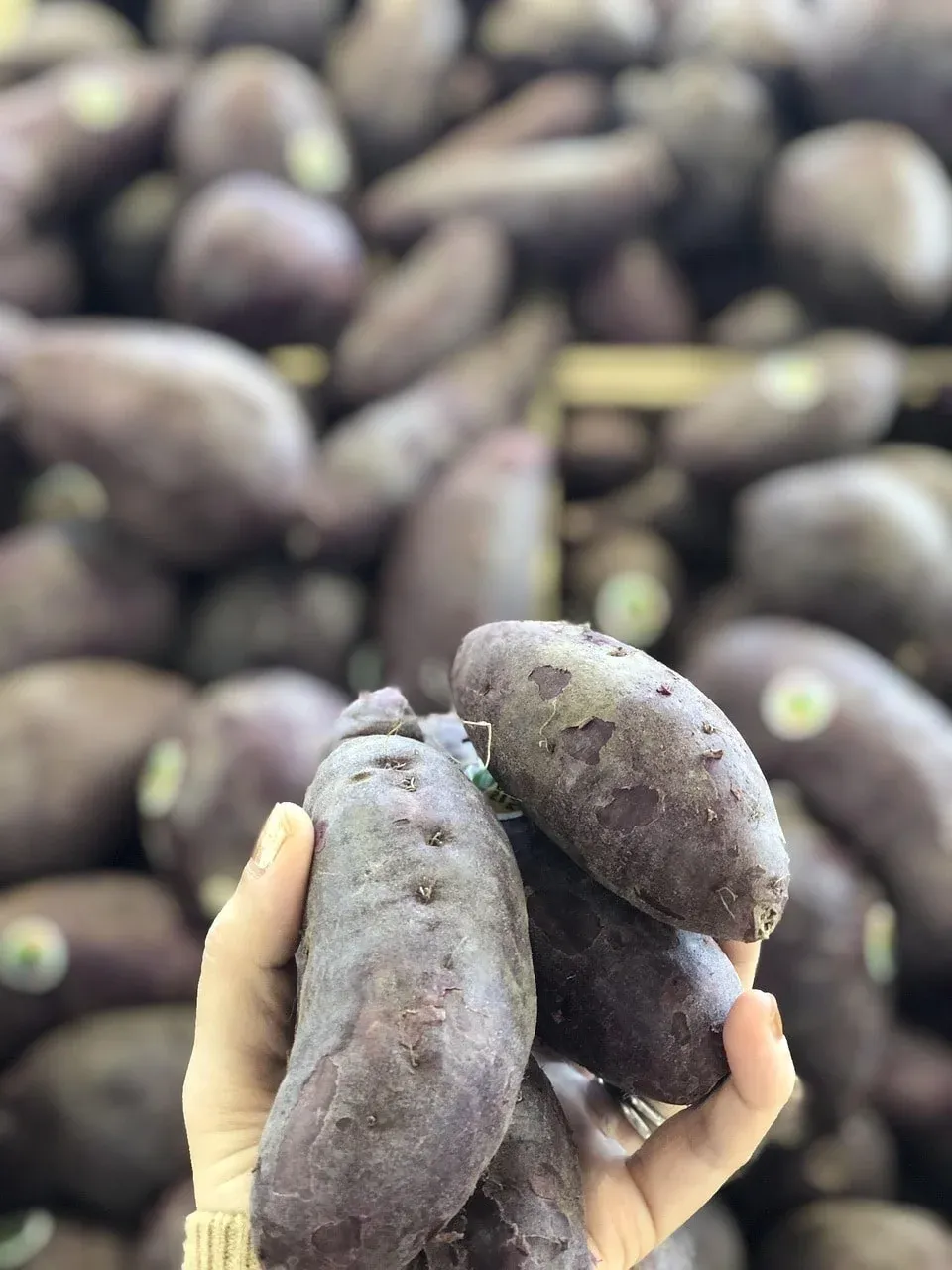 yer-elmasi-faydalari