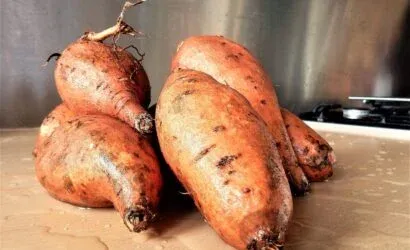 yer-elmasi-faydalari