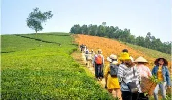 6 Soruda Agro Turizm Nedir?