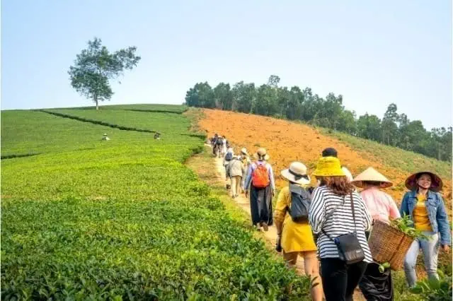 6 Soruda Agro Turizm Nedir?