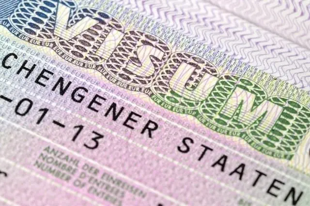 D Tipi Vize Nedir, 2021 D Tipi Vize Ücreti