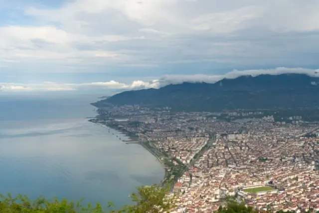 ordu