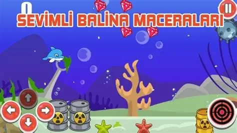 Rusya'da Balina Gözlemi Maceraları