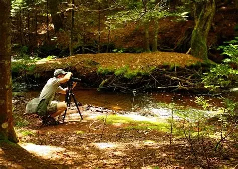 Avrupa’da Doğa Fotoğrafçılığı İçin İdeal Noktalar