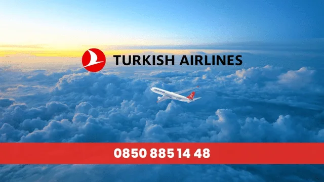 THY İletişim